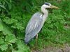 GrauR_2009_05-30